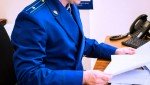 Жительница Старошайговского района признана виновной в уклонении от уплаты алиментов на содержание ребенка